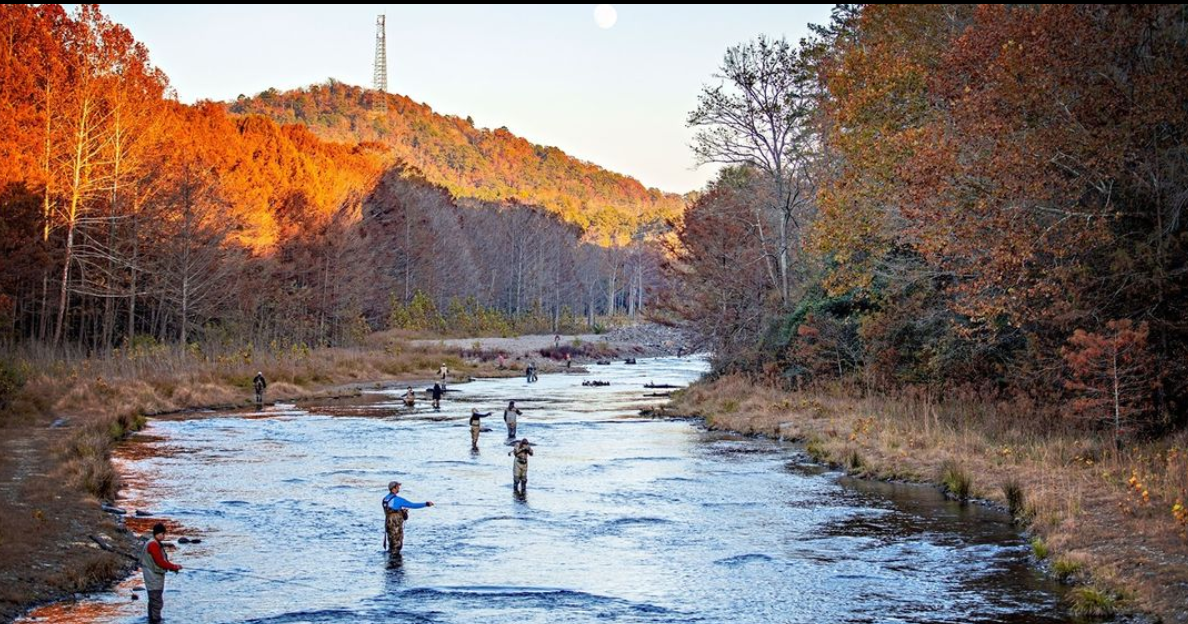 Beavers Bend Activities | Things To Do Broken Bow Oklahoma