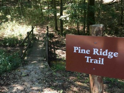 pine-ridge-trail-cover
