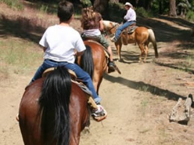 Saddle up and go horseback riding on the trails alongside the Glover River.