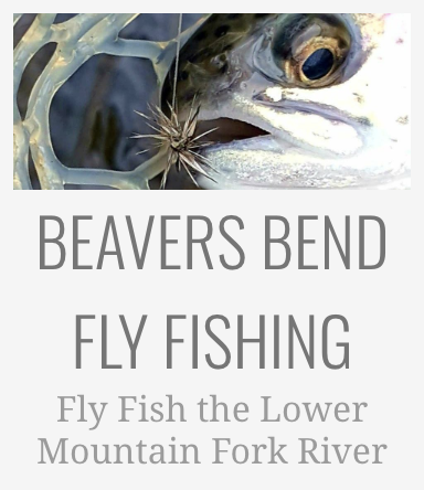 fly fishing in beavers bend