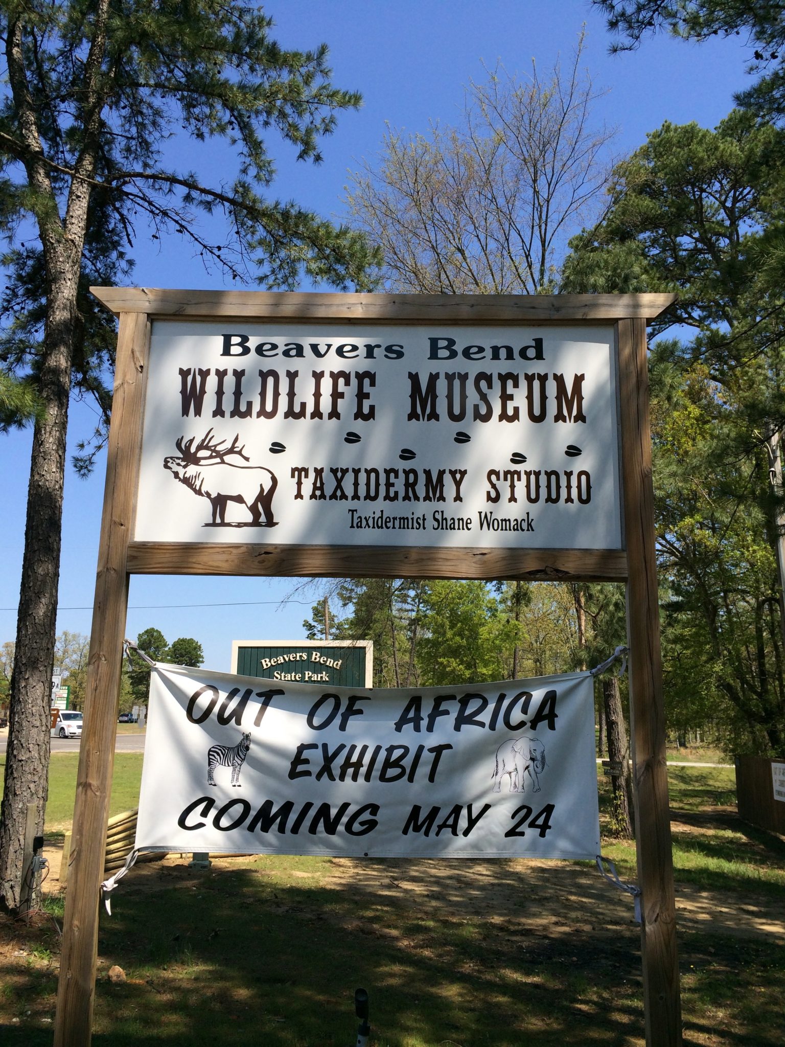 Visit the Beavers Bend Wildlife Museum and enjoy their large taxonomy collection.