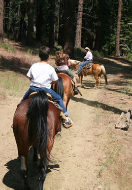 Saddle up and go horseback riding on the trails alongside the Glover River.