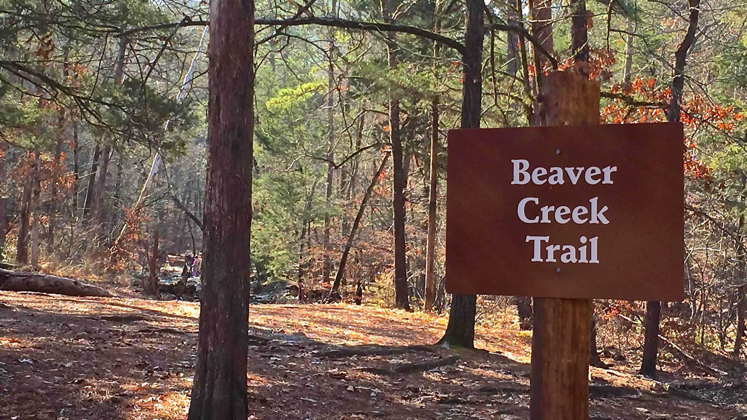Beaver-Creek-Trail-cover