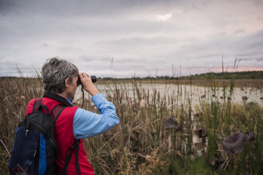 birding in broken bow