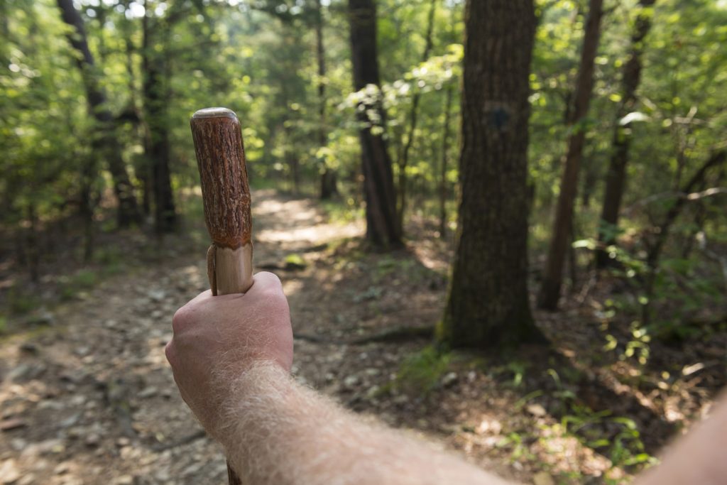 Hiking around beavers bend is the best way to witness the beauty of Broken Bow Oklahoma.