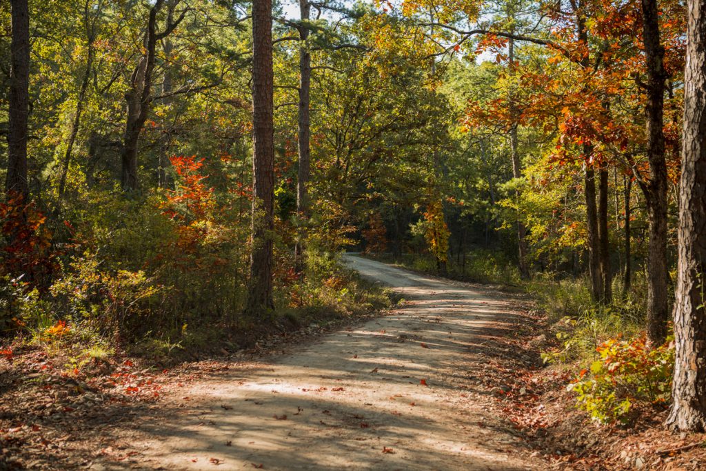 Search for Bigfoot in Beavers Bend