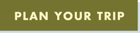 plan your trip button