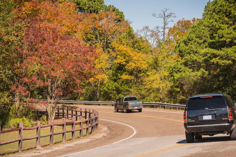 MCTAFallFoliage9_web