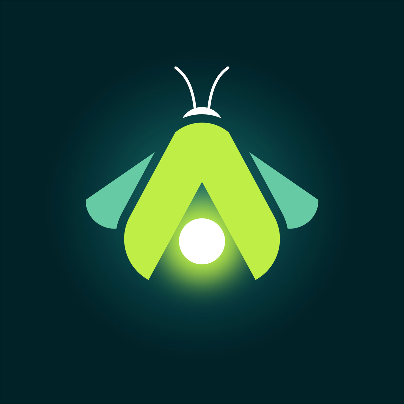 Firefly Placeholder