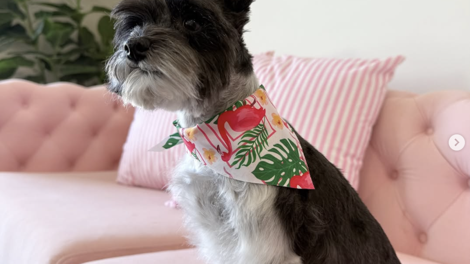 Screenshot 2025-10-24 at 10.15.10 AM